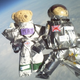 Illustration for article titled Teddies In Space • Australia Allows Singles Lesbians A Shot At Fertility